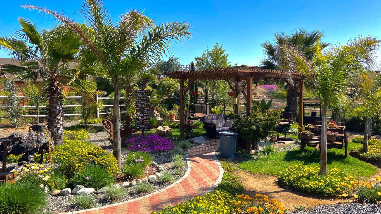 Paraiso Del Valle Ensenada Kültér fotó